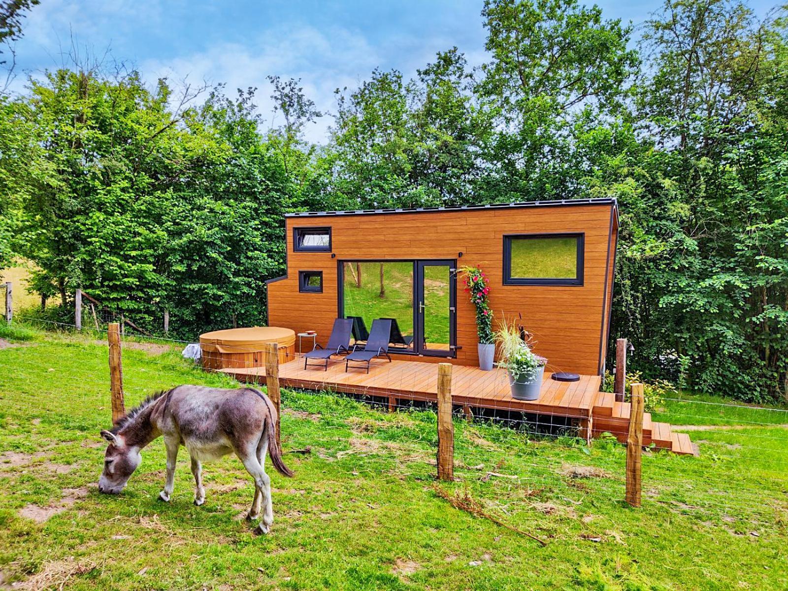 La Mini Maison Du *